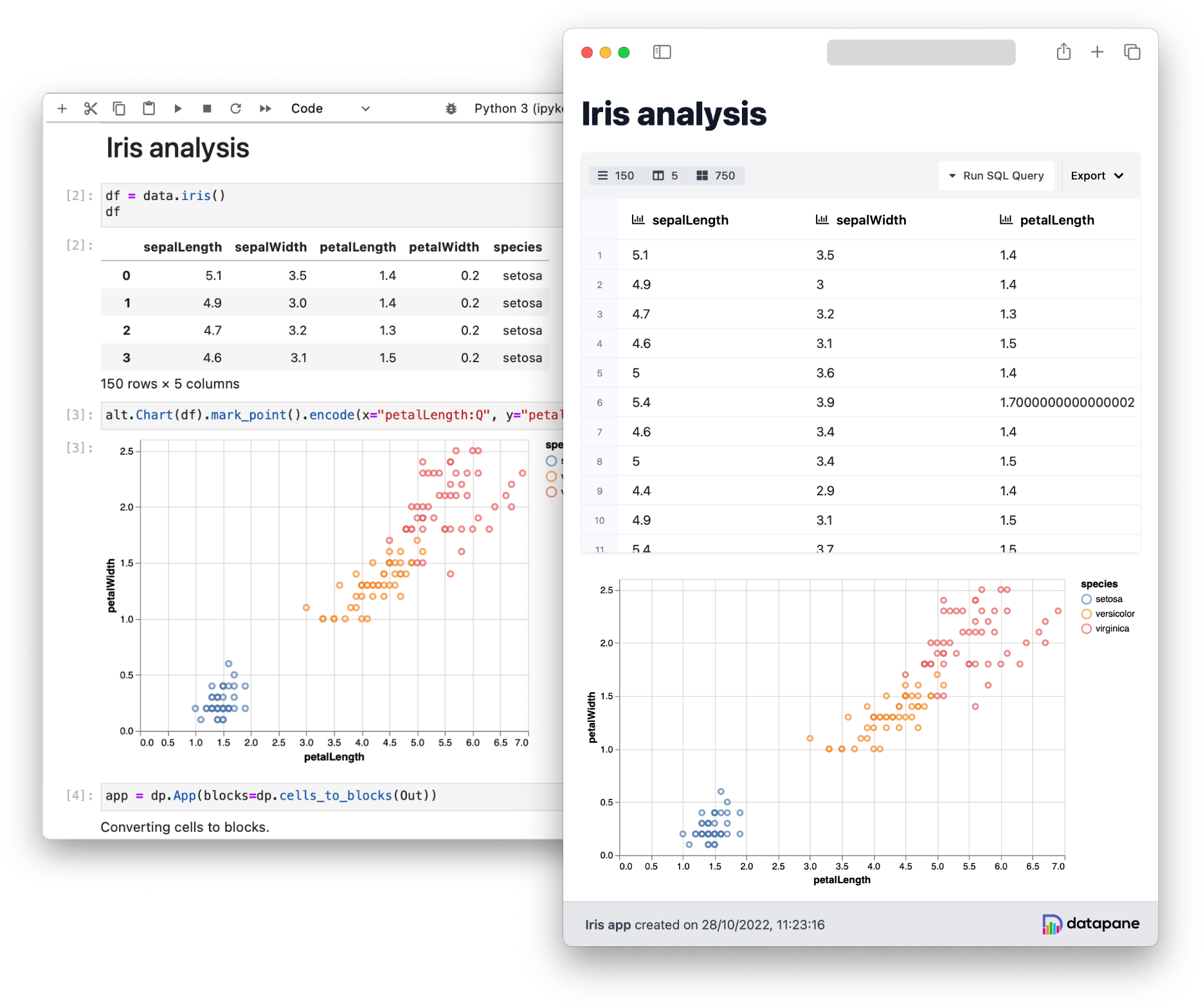 Iris analysis to report